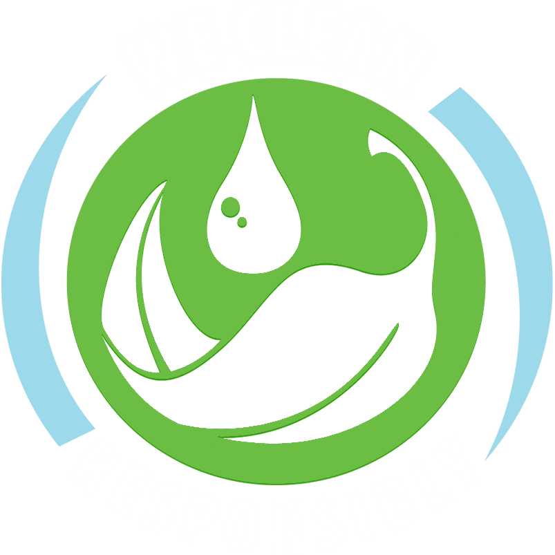 Green Cleaning Logo