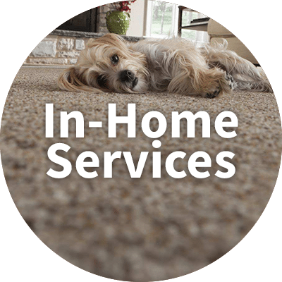 In-Home Services
