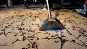 Using a carpet wand to clean an area rug at home