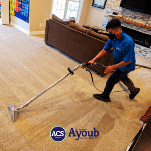 Professional carpet cleaning service