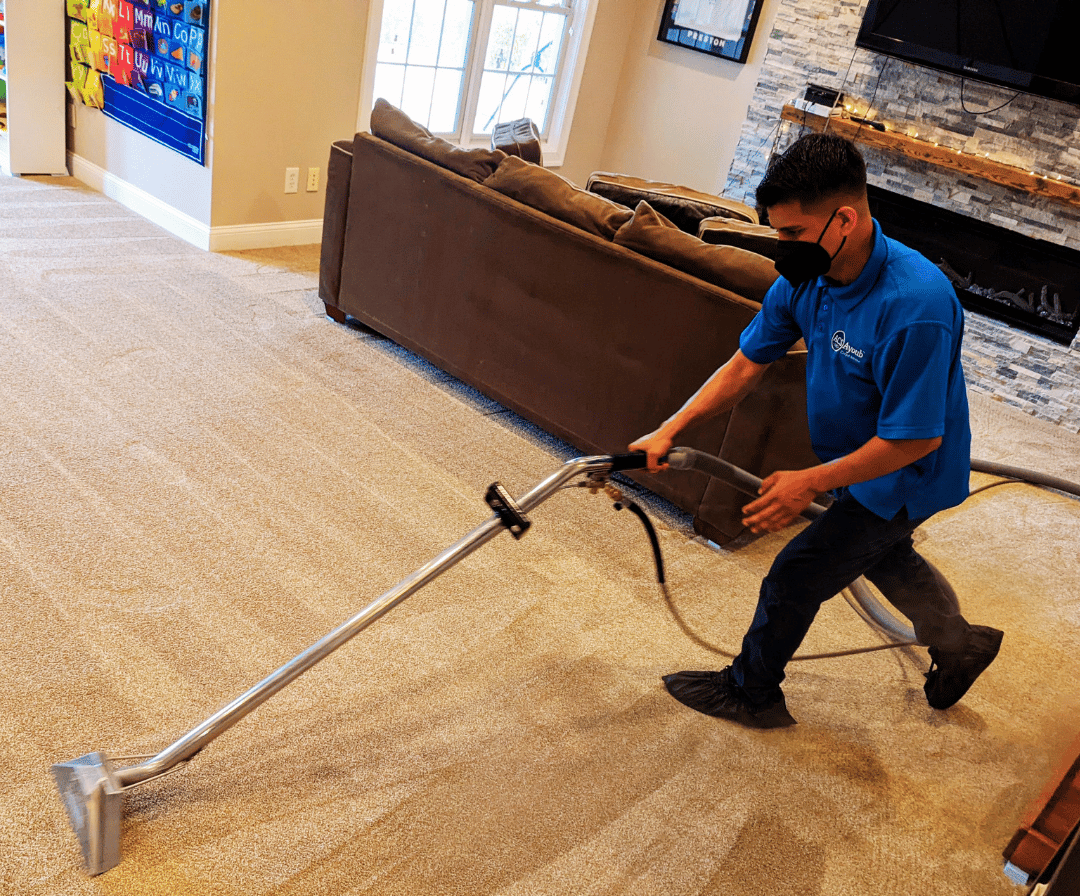 5 Professional Carpet Cleaning Misconceptions