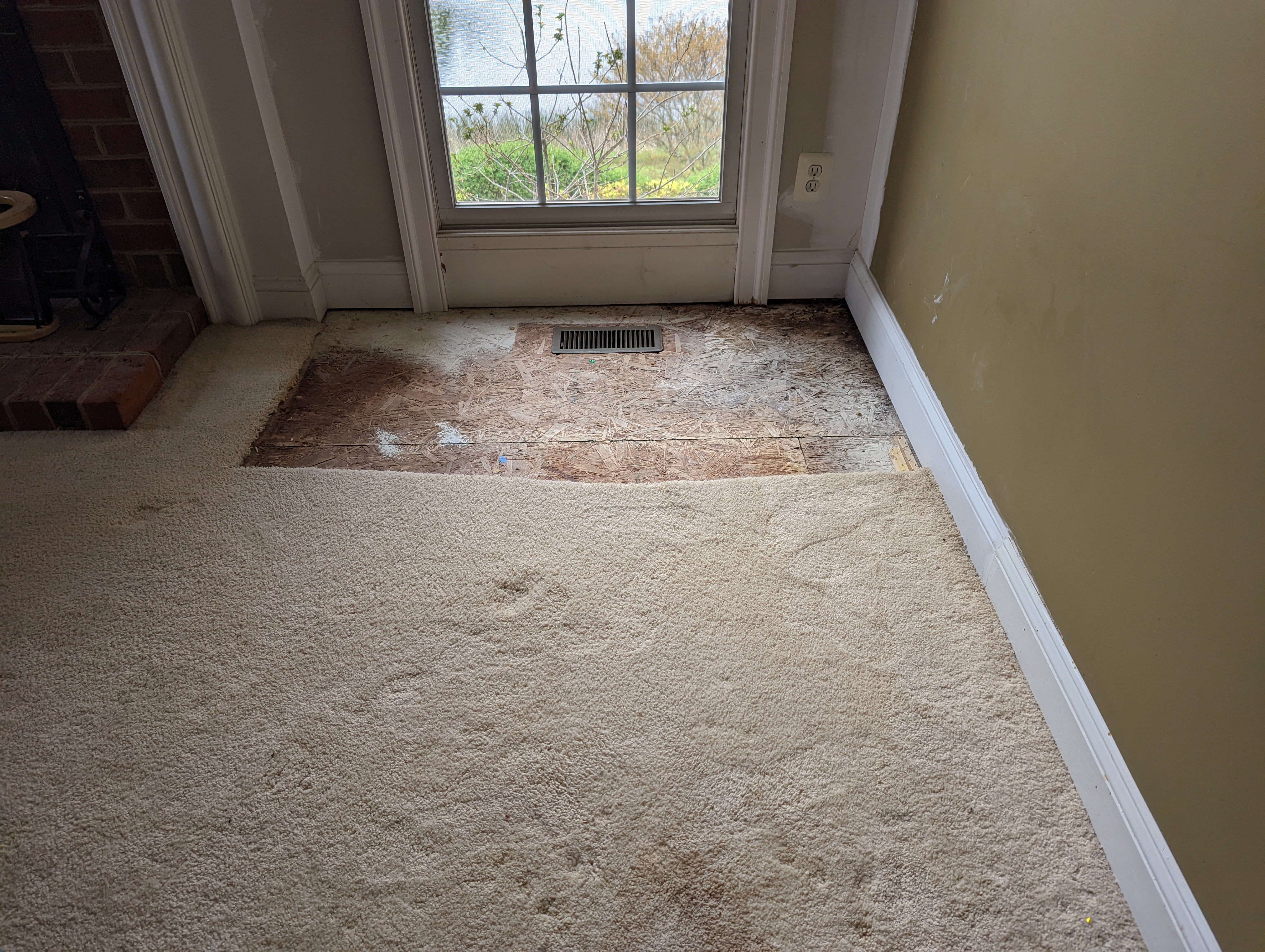 Water Damage in Carpet and Area Rugs