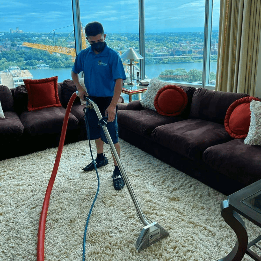 When to Clean Carpet vs. When to Replace It