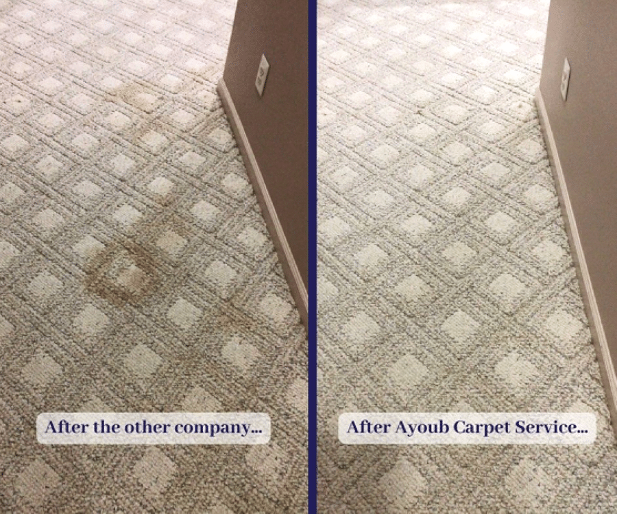 Carpet Cleaning Fairfax County