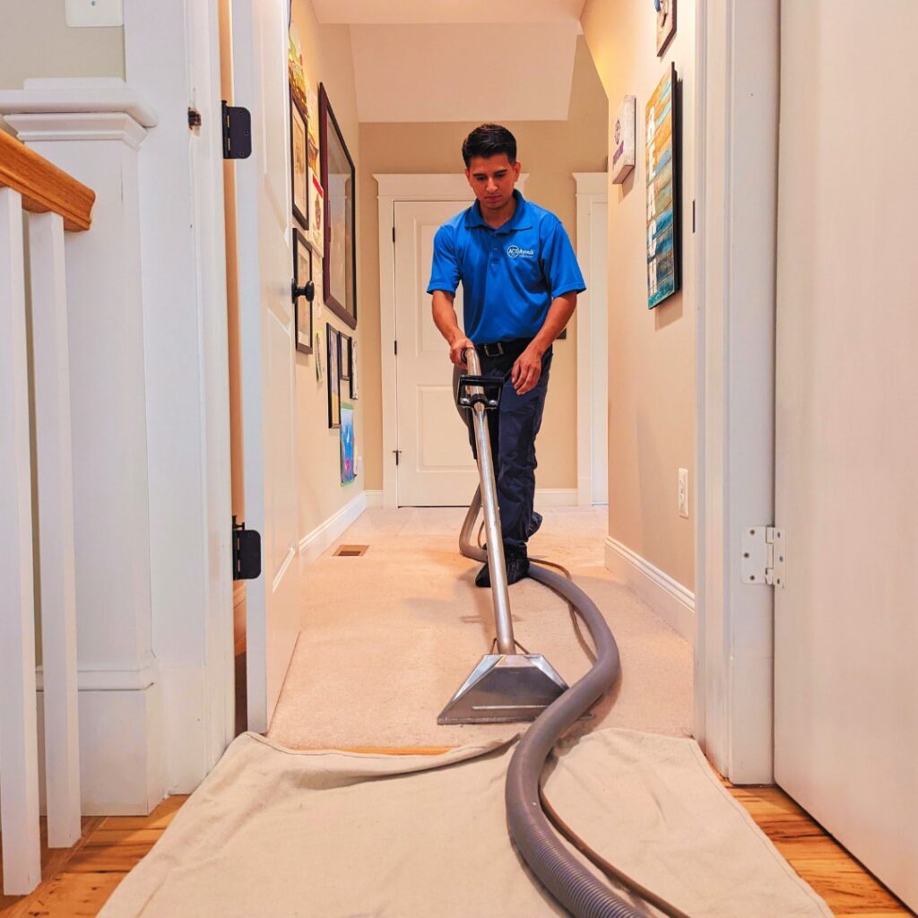 Professional Carpet Cleaning and Repair
